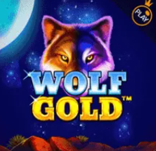 9casino wolfgold